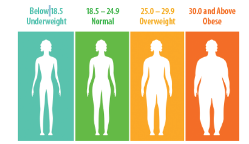 What Is A Healthy BMI?