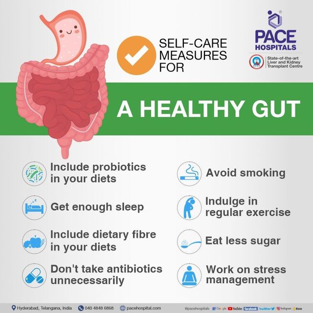 How Can I Maintain A Healthy Gut?